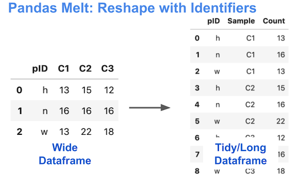 pandas-melt-reshape-wide-to-tidy-with-identifiers-python-and-r-tips